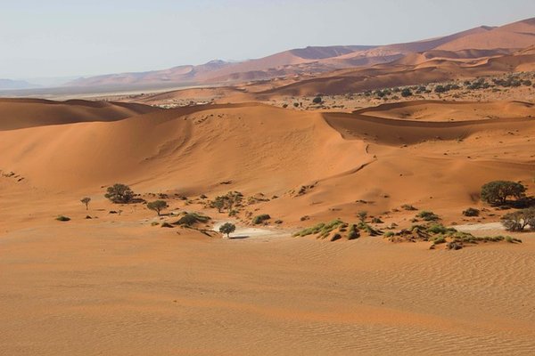 Safaris sur mesure : découvrez la magie de la namibie